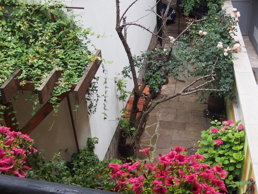 Guest Accommodation Etno Konak Tasana Nis Exterior foto