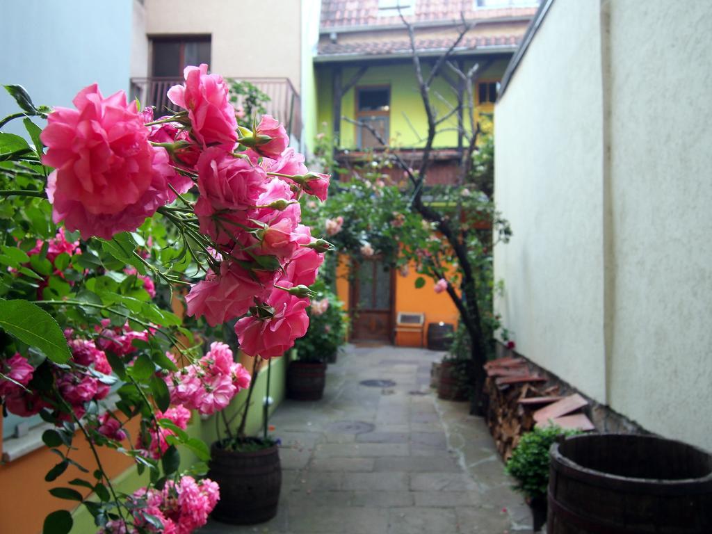 Guest Accommodation Etno Konak Tasana Nis Exterior foto