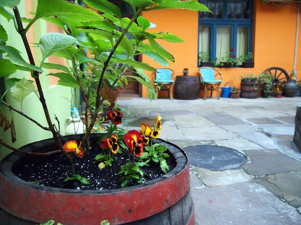 Guest Accommodation Etno Konak Tasana Nis Exterior foto