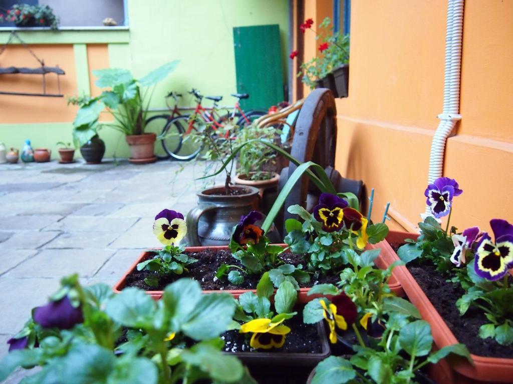 Guest Accommodation Etno Konak Tasana Nis Exterior foto